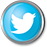 Twitter Icon